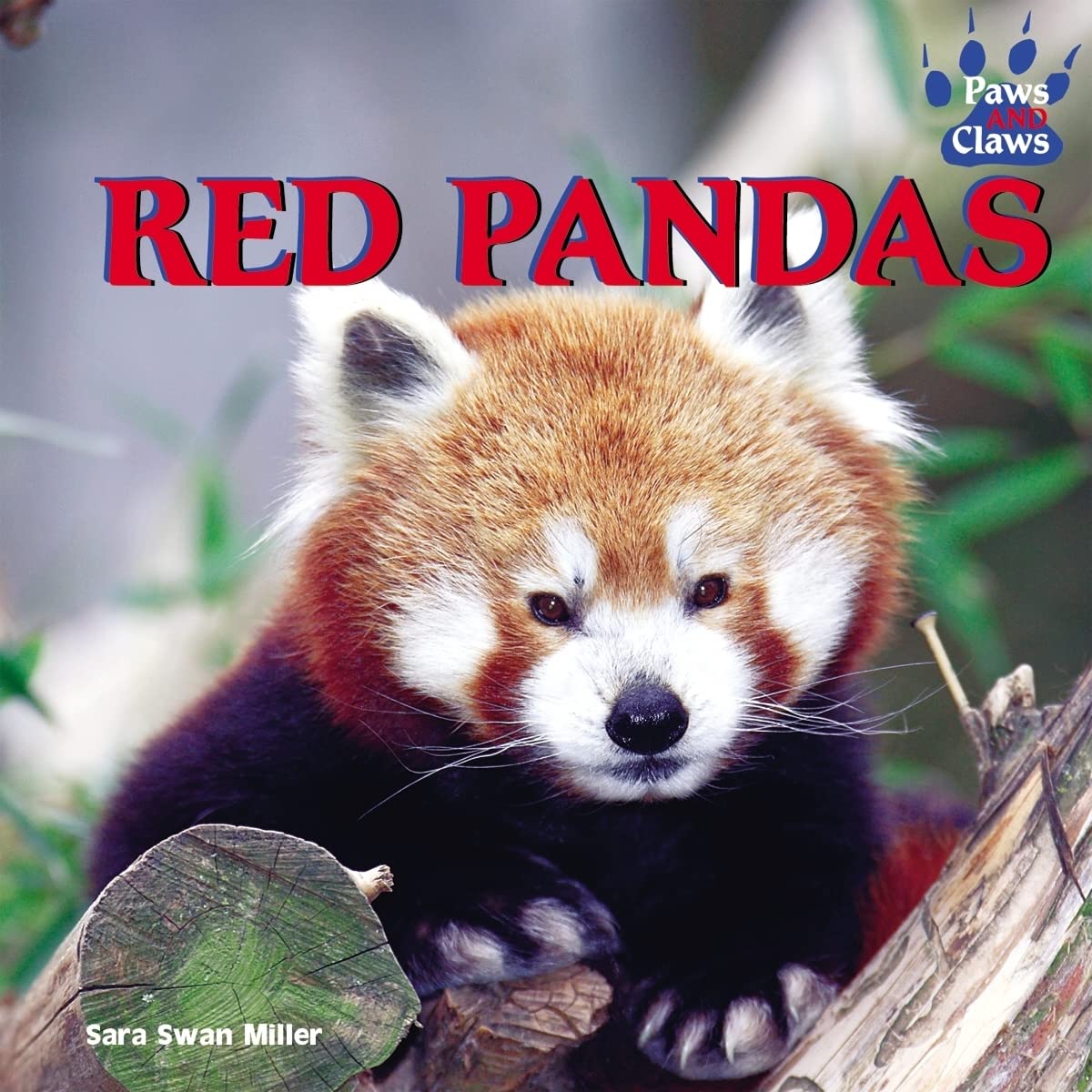 Red Pandas (Paws and Claws),Used