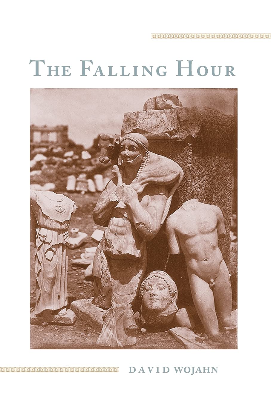 The Falling Hour (Pitt Poetry Series),Used