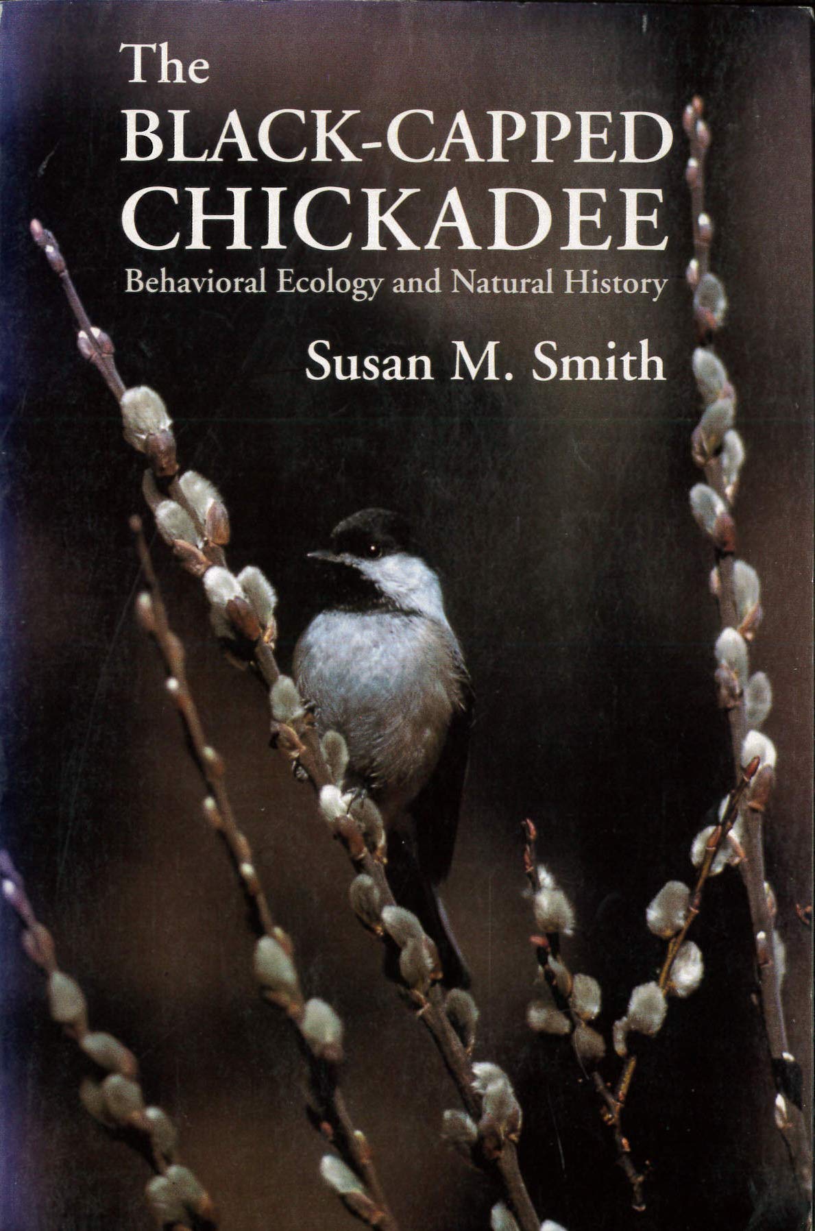The BlackCapped Chickadee: Behavioral Ecology and Natural History,Used