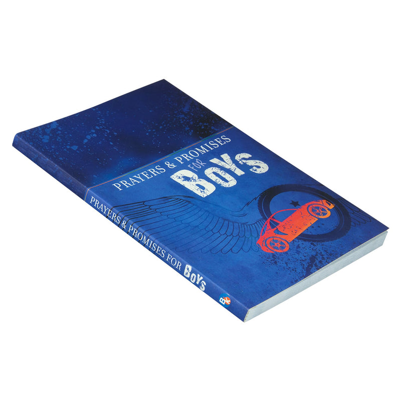 Prayers & Promises for Boys,Used
