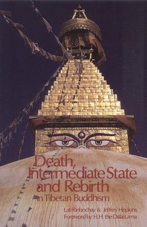 Death, Intermediate State and Rebirth in Tibetan Buddhism,Used