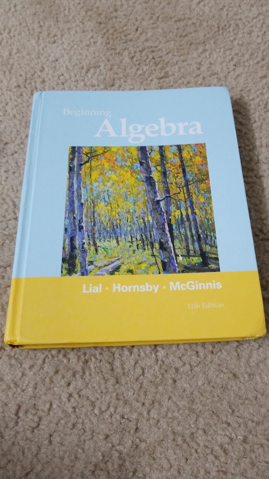 Beginning Algebra (11th Edition),Used