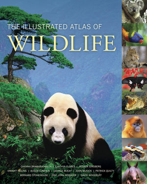 The Illustrated Atlas of Wildlife,Used