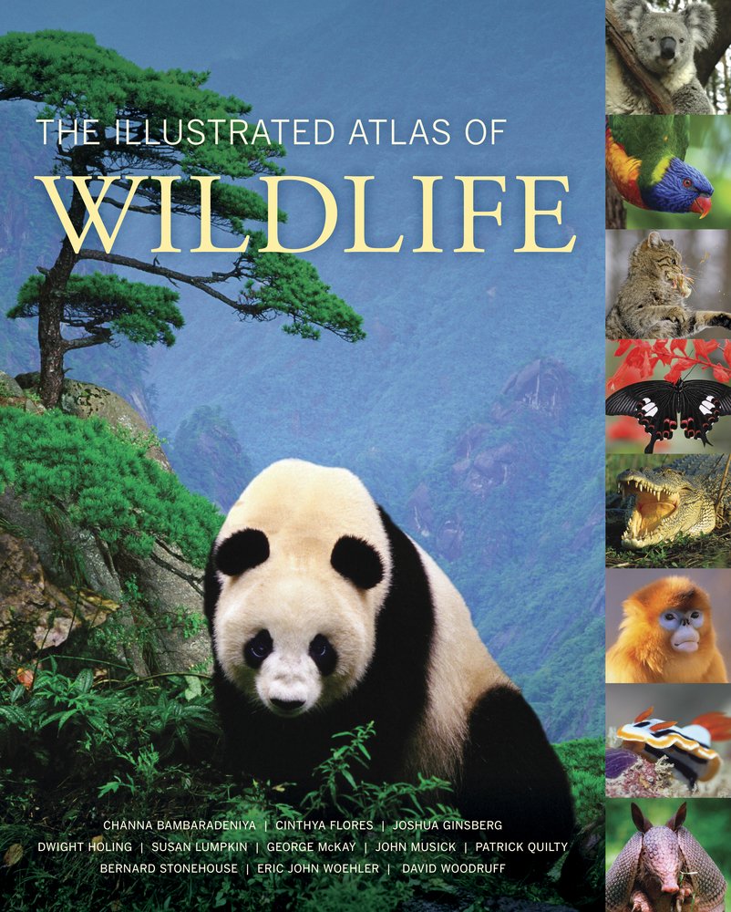 The Illustrated Atlas of Wildlife,Used