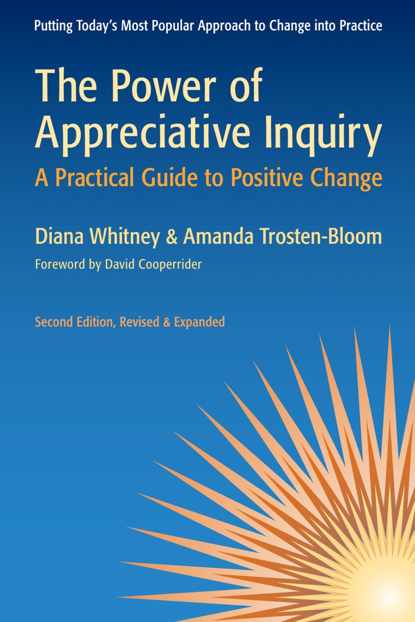 The Power Of Appreciative Inquiry: A Practical Guide To Positive Change,Used