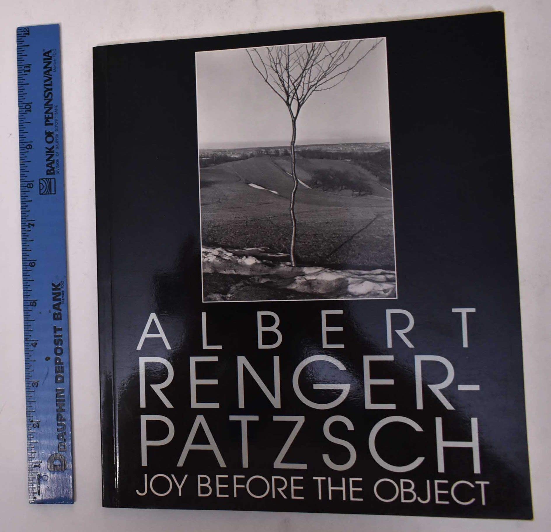 Albert RengerPatzsch: Joy Before the Object,Used