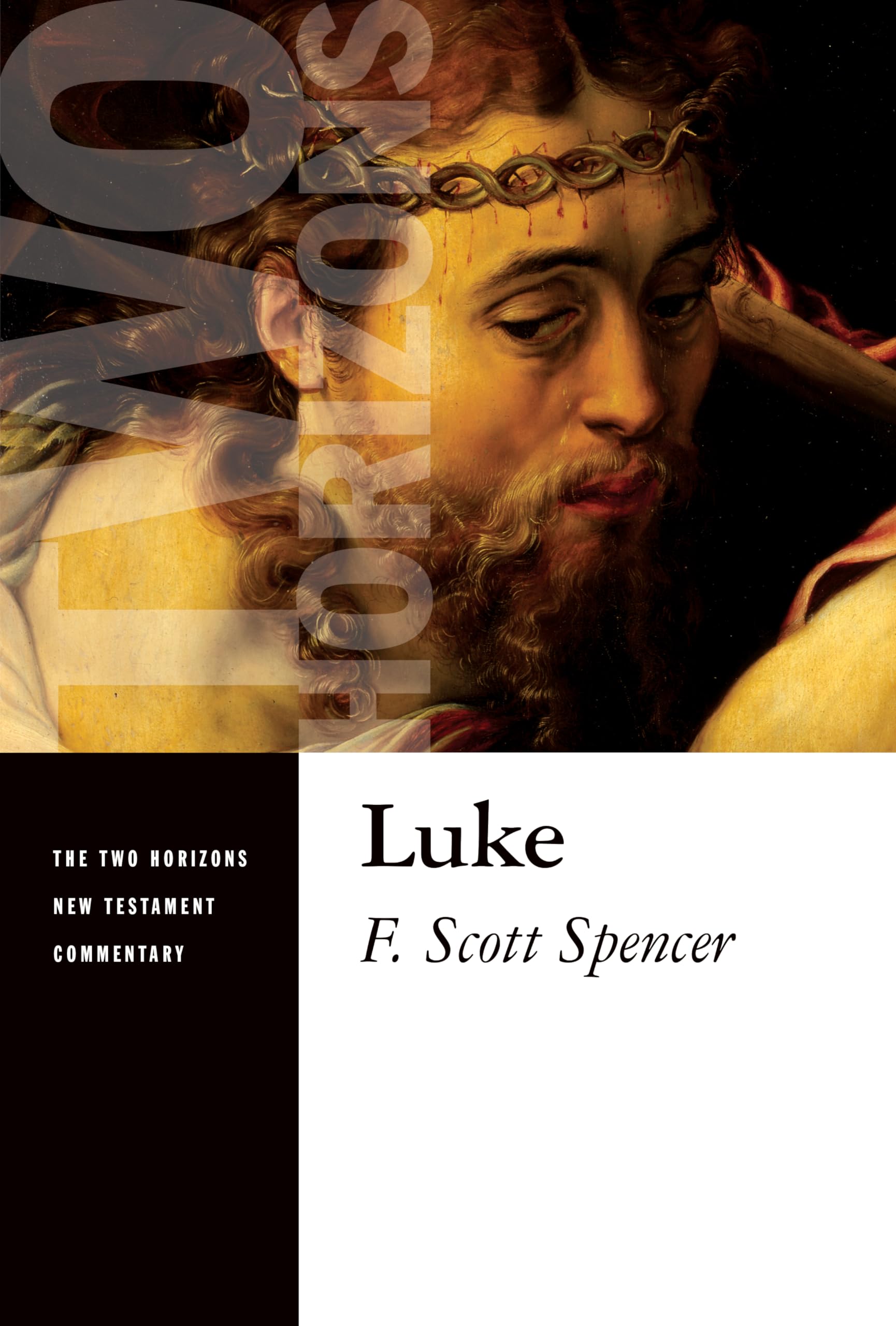 Luke (Two Horizons New Testament Commentary),Used