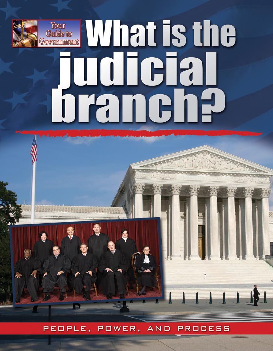 What Is the Judicial Branch? (Your Guide to Government),Used