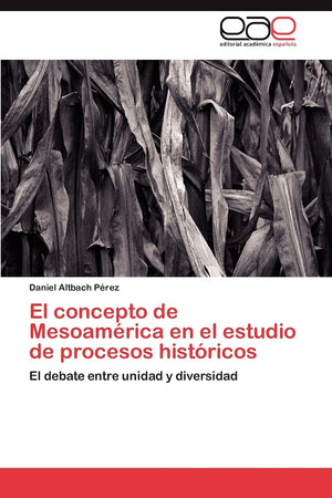 El concepto de Mesoamrica en el estudio de procesos histricos: El debate entre unidad y diversidad (Spanish Edition),Used