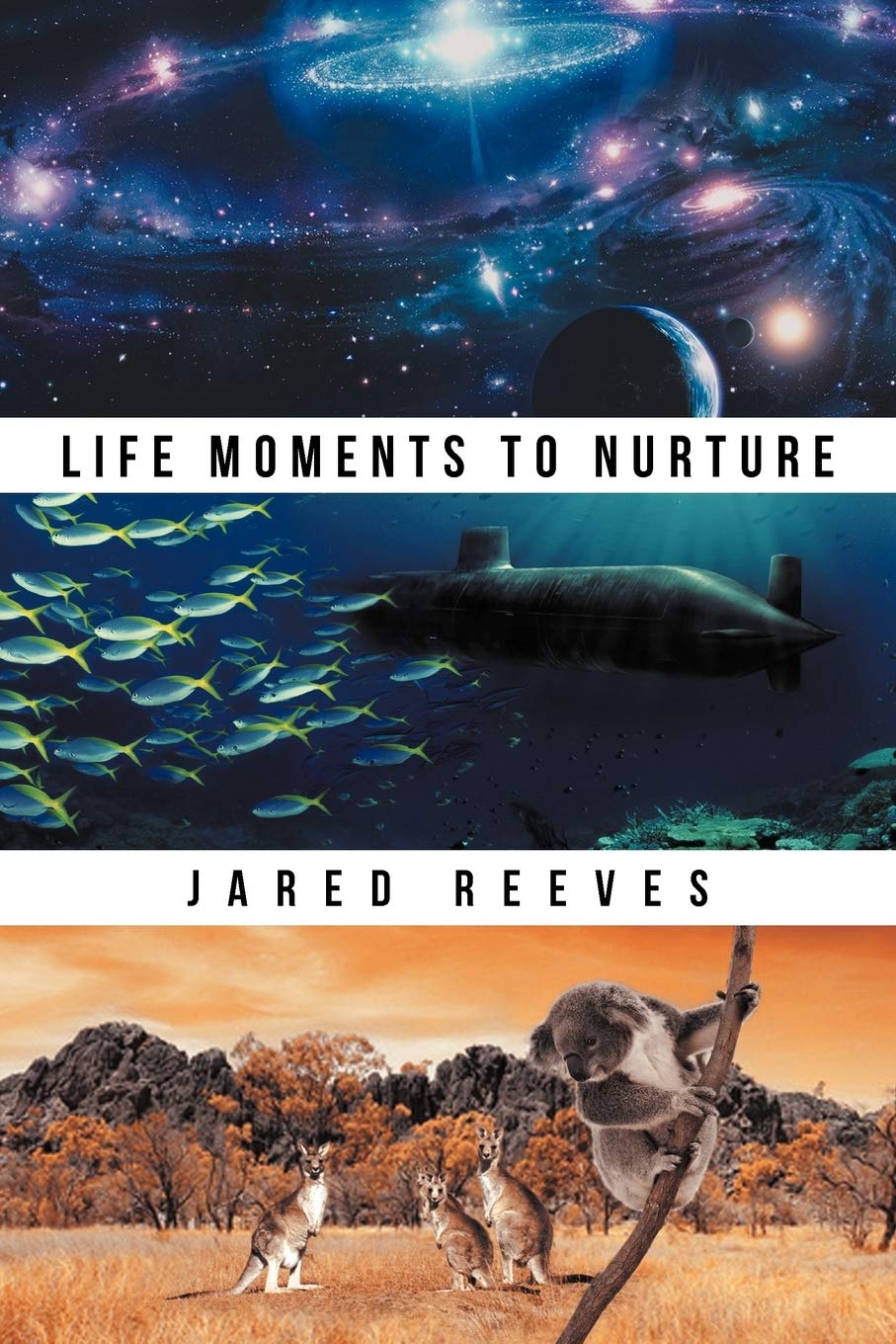 Life Moments To Nurture,Used