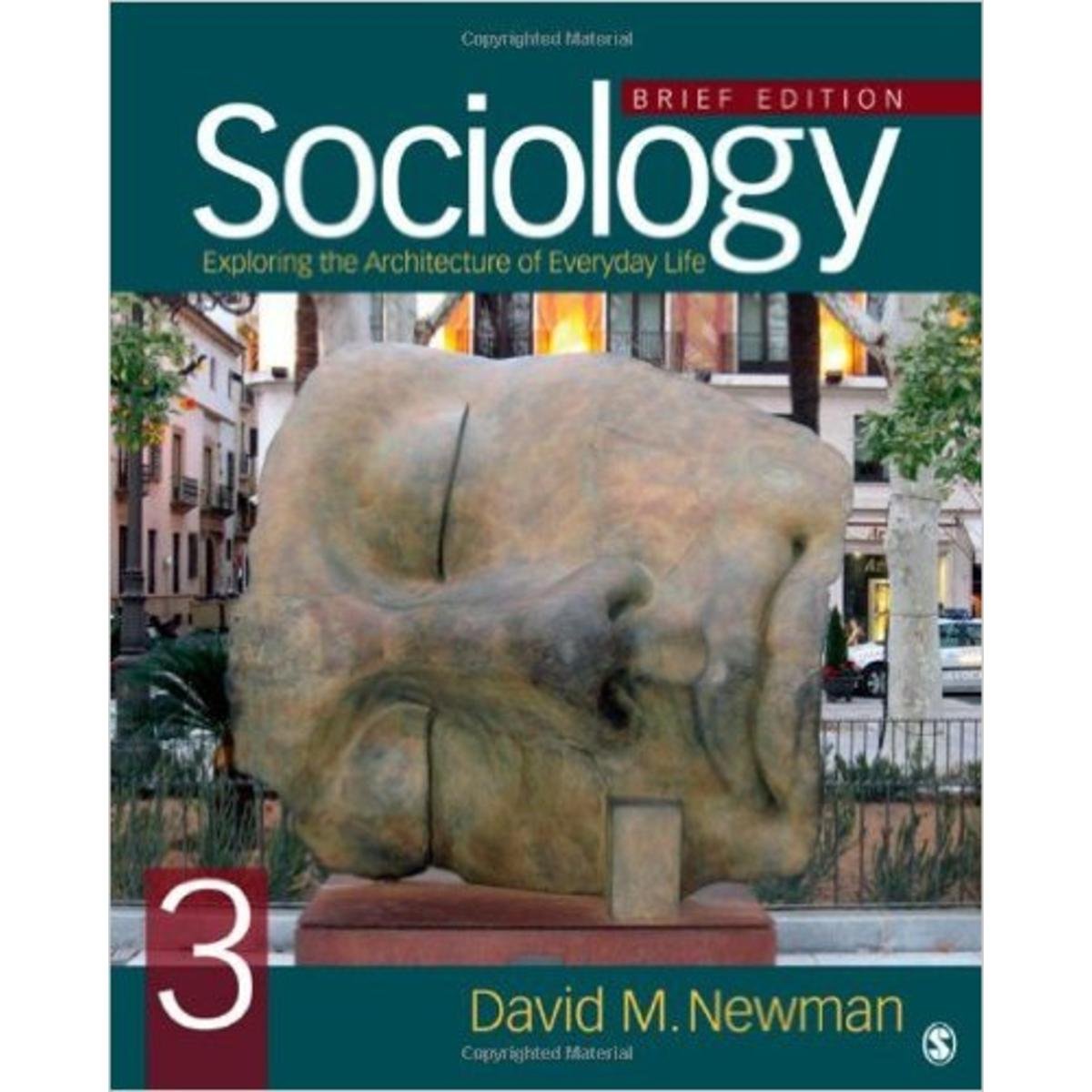 Sociology: Exploring the Architecture of Everyday Life, Brief Edition,Used