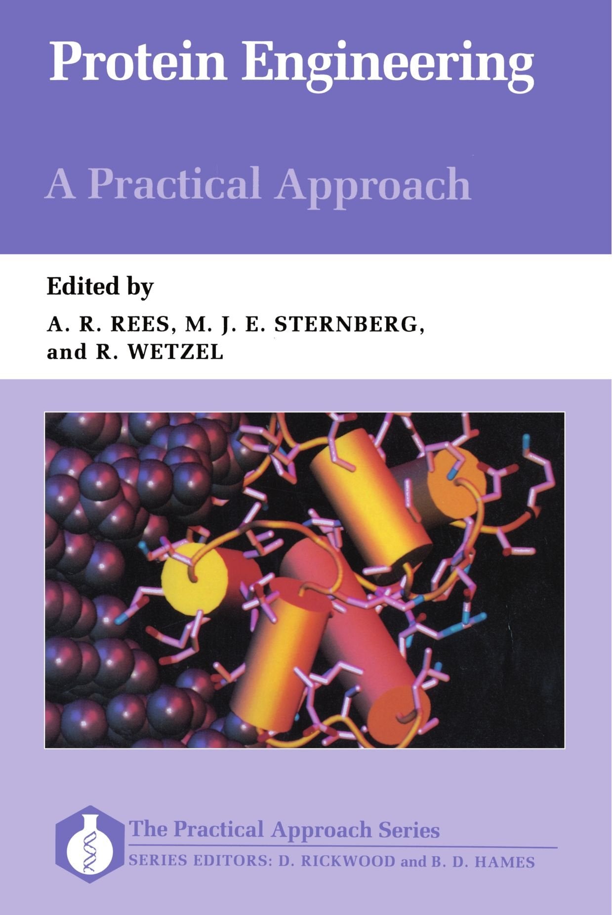 Protein Engineering: A Practical Approach (Practical Approach Series)-new