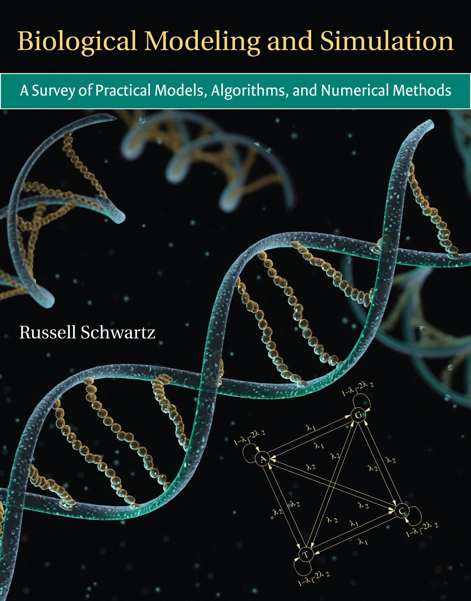 Biological Modeling and Simulation: A Survey of Practical Models, Algorithms, and Numerical Methods (Computational Molecular Bio,Used