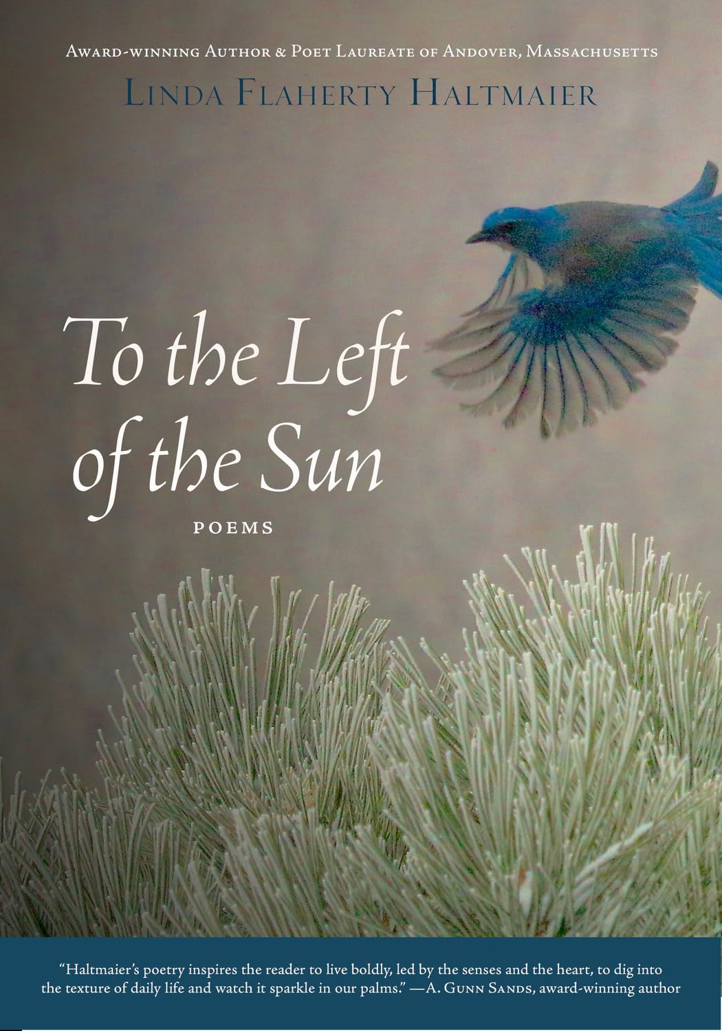 To the Left of the Sun,Used