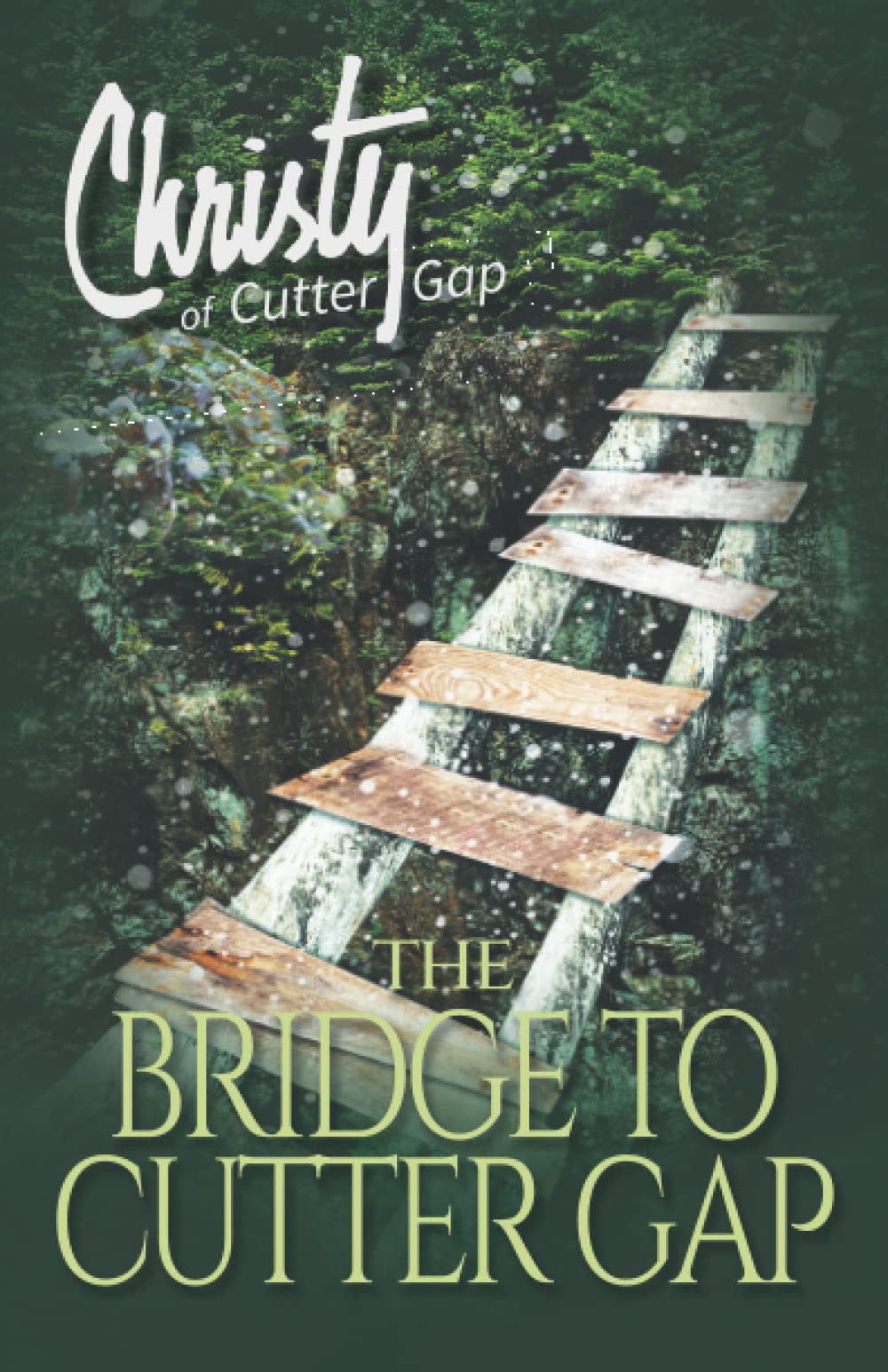 The Bridge to Cutter Gap (Christy of Cutter Gap),Used