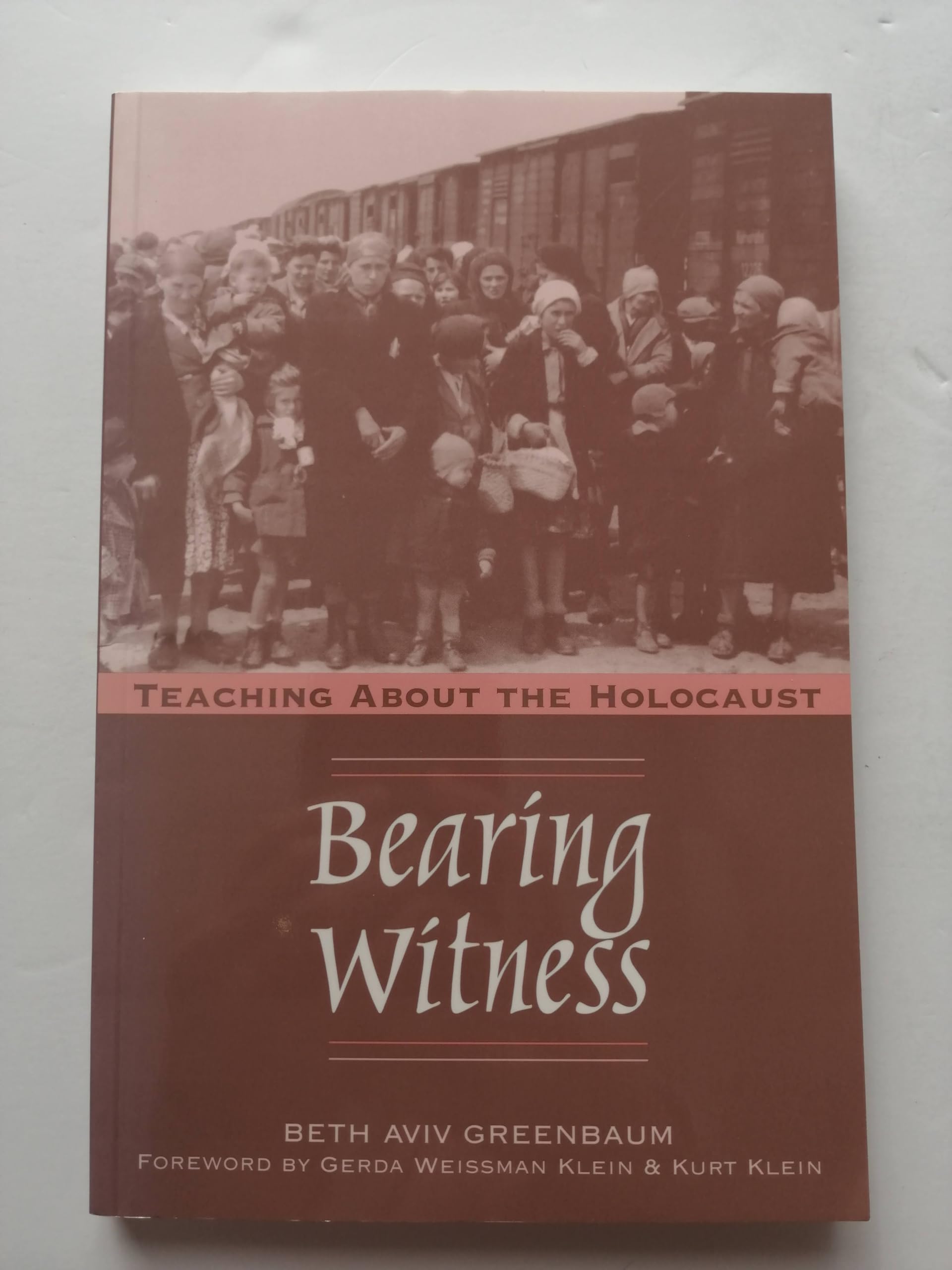 Bearing Witness: Teaching About the Holocaust,Used