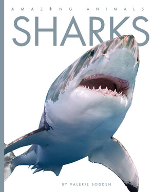 Sharks,Used