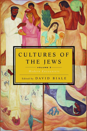 Cultures Of The Jews, Volume 3: Modern Encounters,New