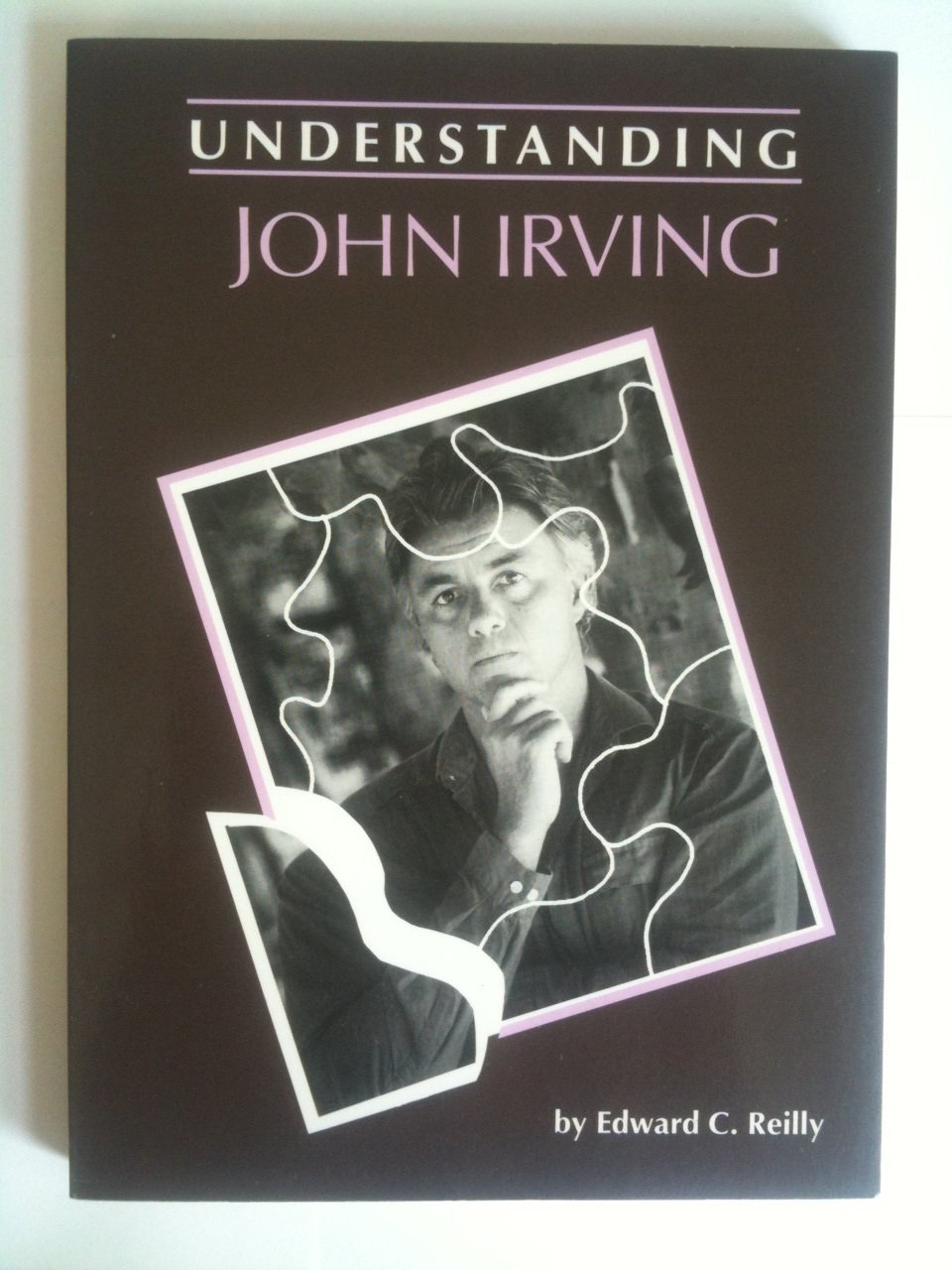 Understanding John Irving (Understanding Contemporary American Literature),Used