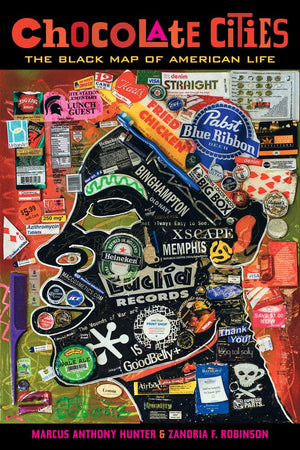 Chocolate Cities: The Black Map of American Life,Used