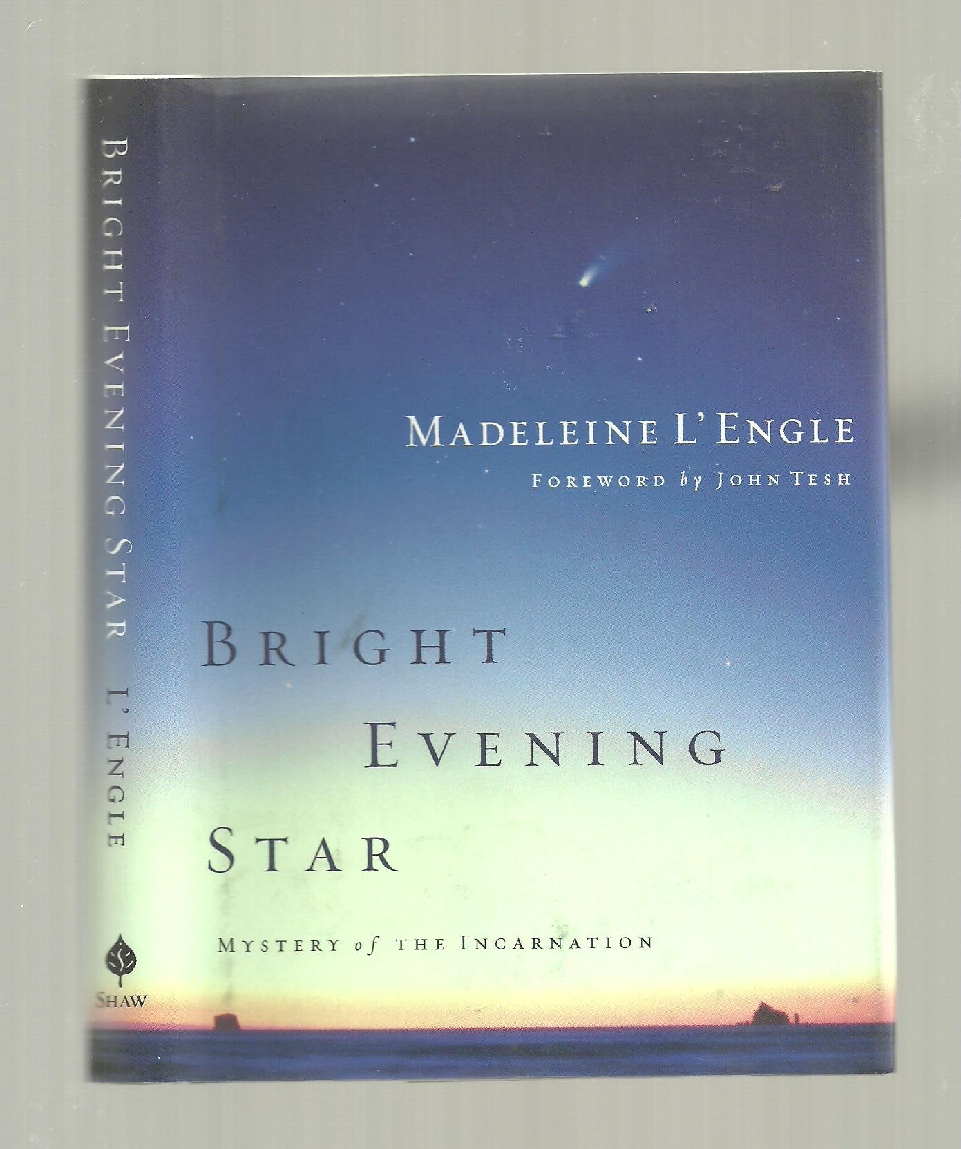 Bright Evening Star: Mystery of the Incarnation (Wheaton Literary Series),Used