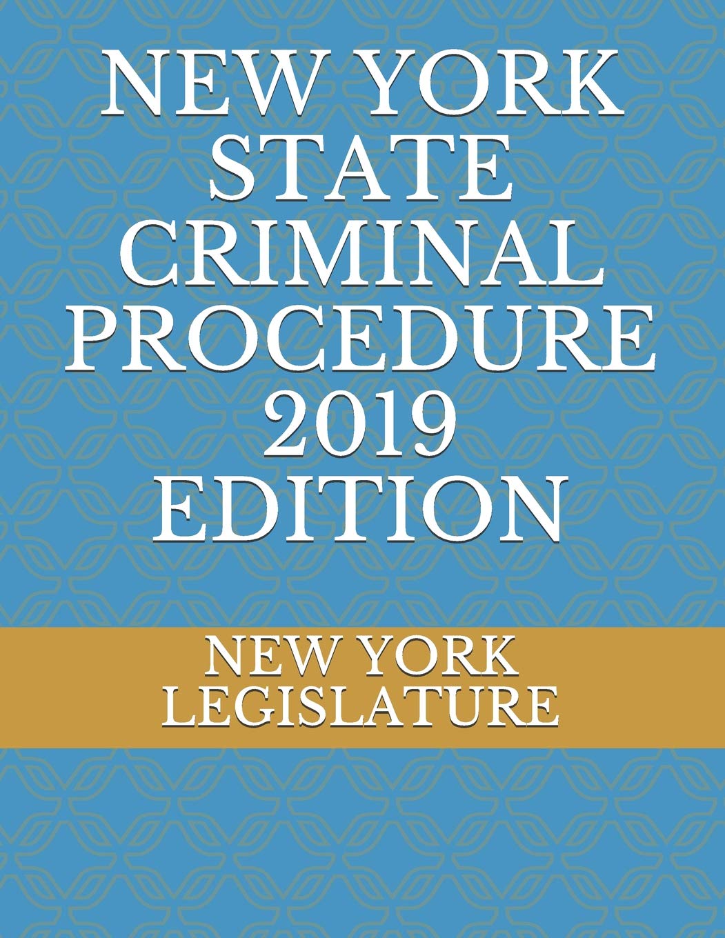 NEW YORK STATE CRIMINAL PROCEDURE 2019 EDITION,Used