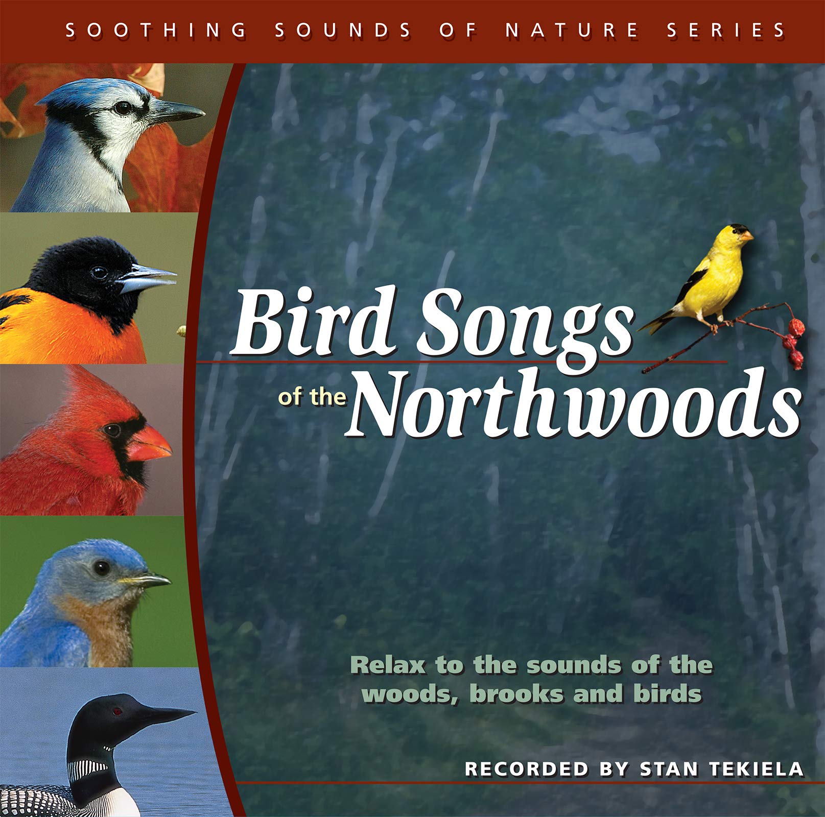Bird Songs of the Northwoods (Soothing Sounds of Nature),Used