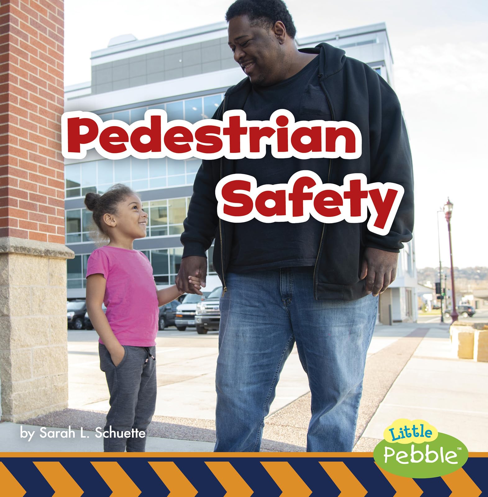 Pedestrian Safety (Staying Safe!),Used