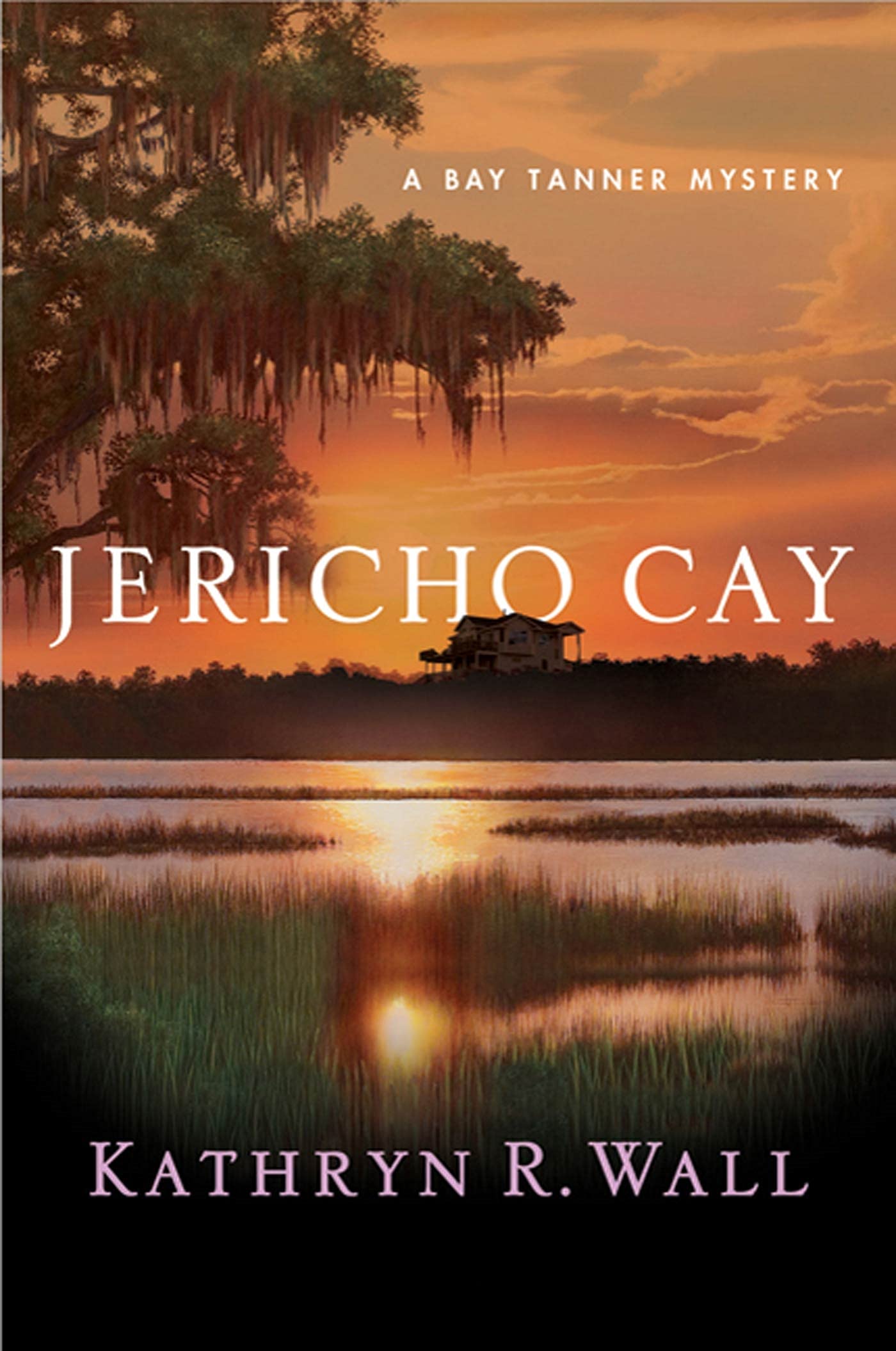 Jericho Cay: A Bay Tanner Mystery (Bay Tanner Mysteries, 11)