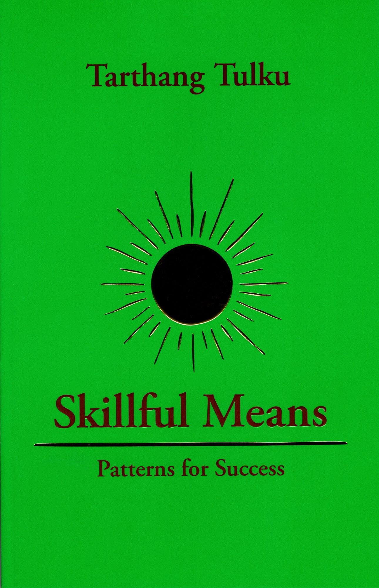 Skillful Means: Patterns for Success (Mindful Working),Used