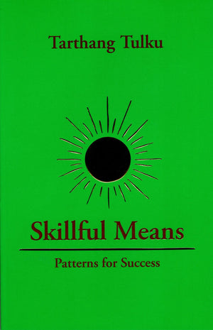 Skillful Means: Patterns for Success (Mindful Working),Used