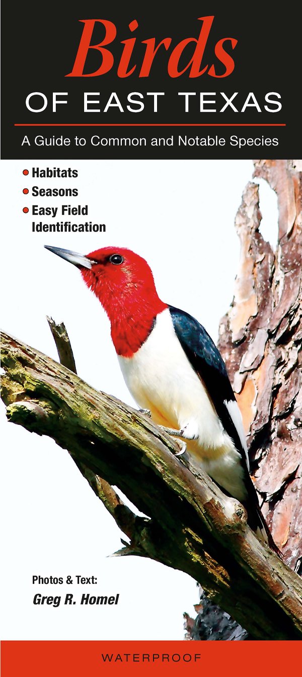 Birds of East Texas,Used