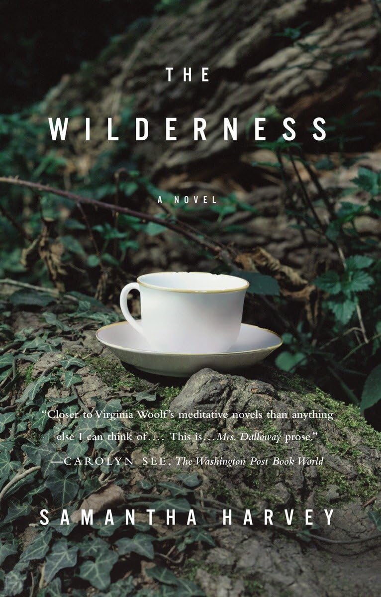 The Wilderness: A Novel,Used