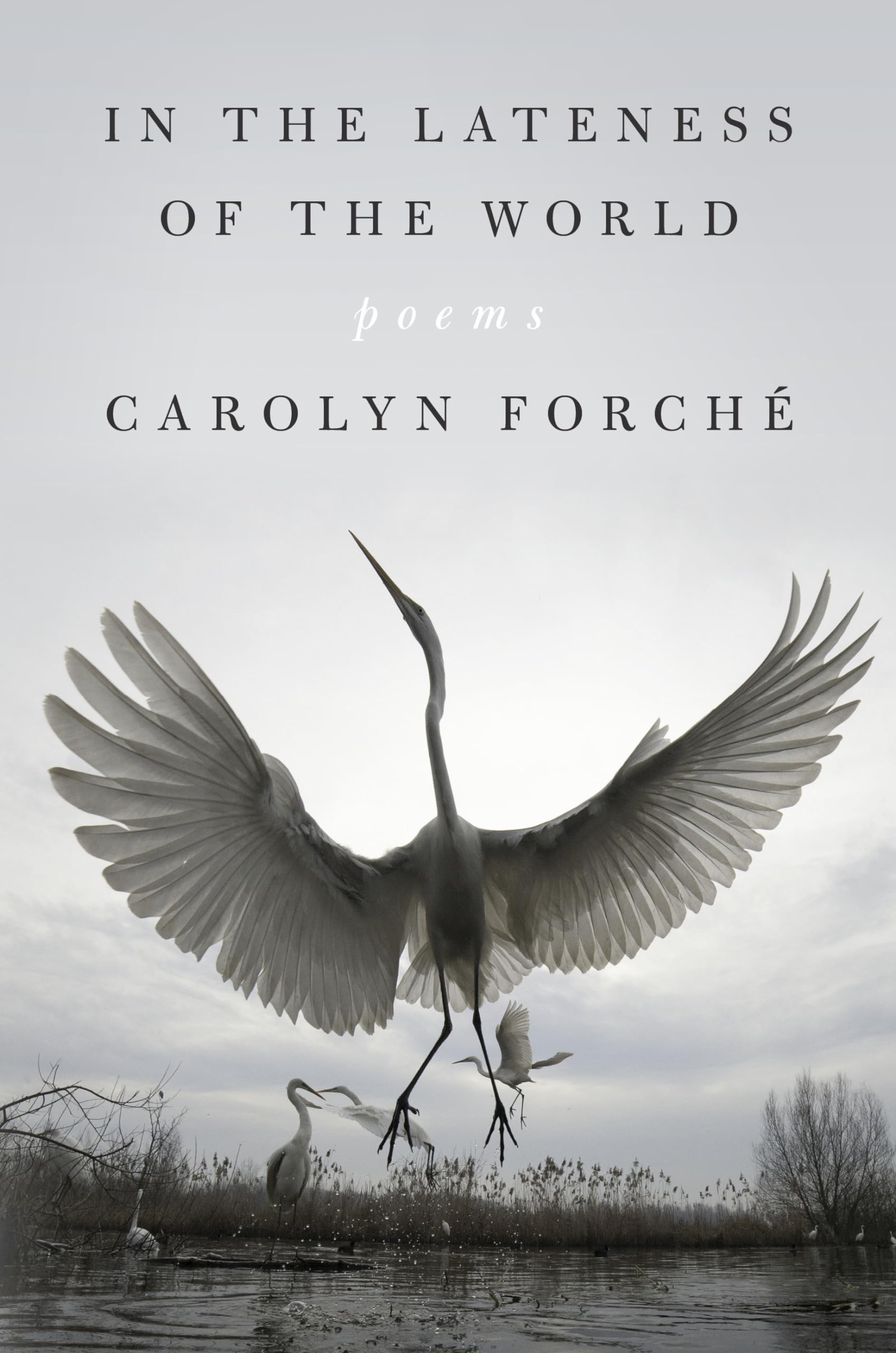 In The Lateness Of The World: Poems