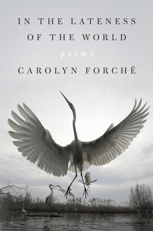 In The Lateness Of The World: Poems