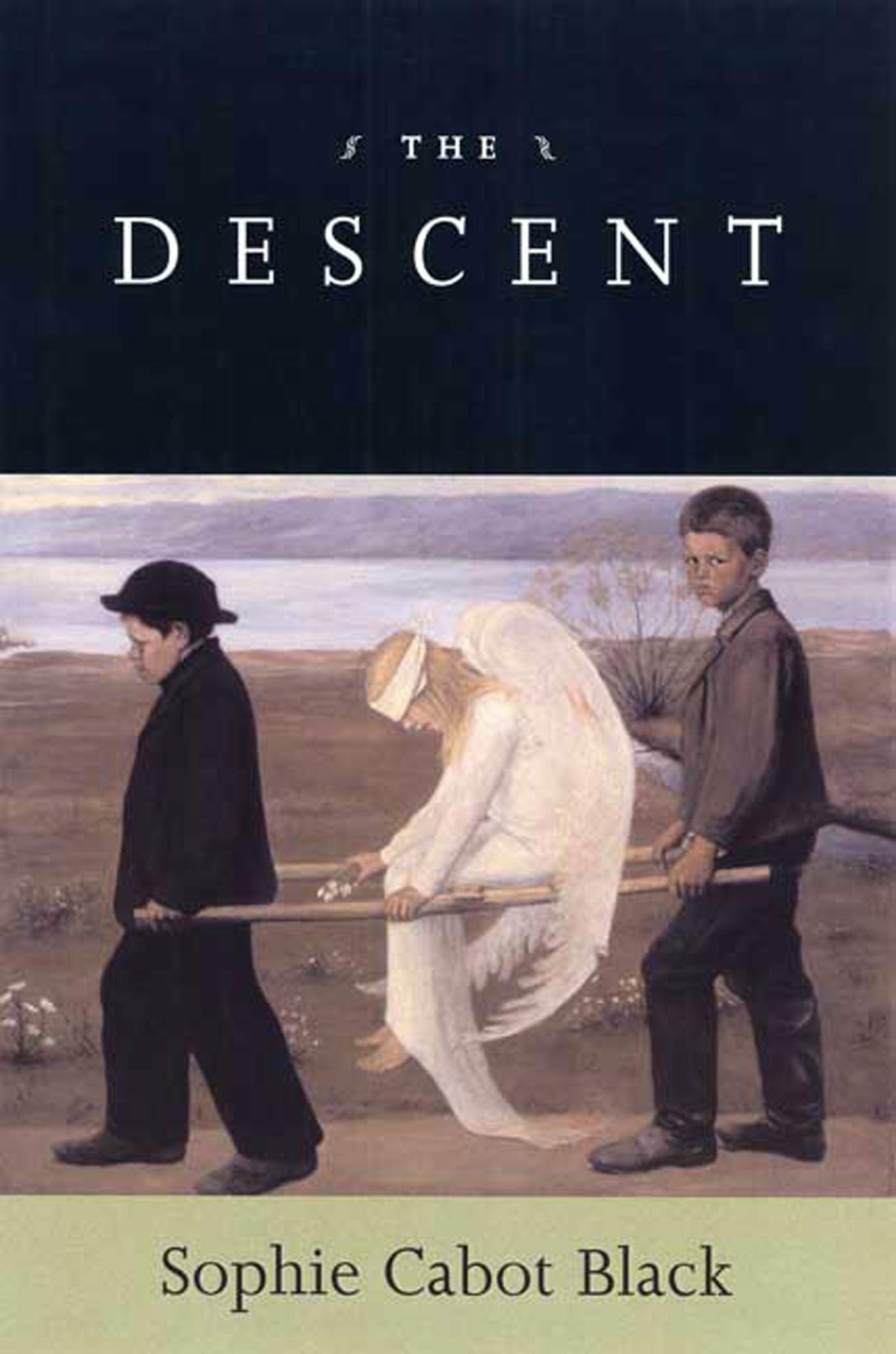 The Descent: Poems,Used