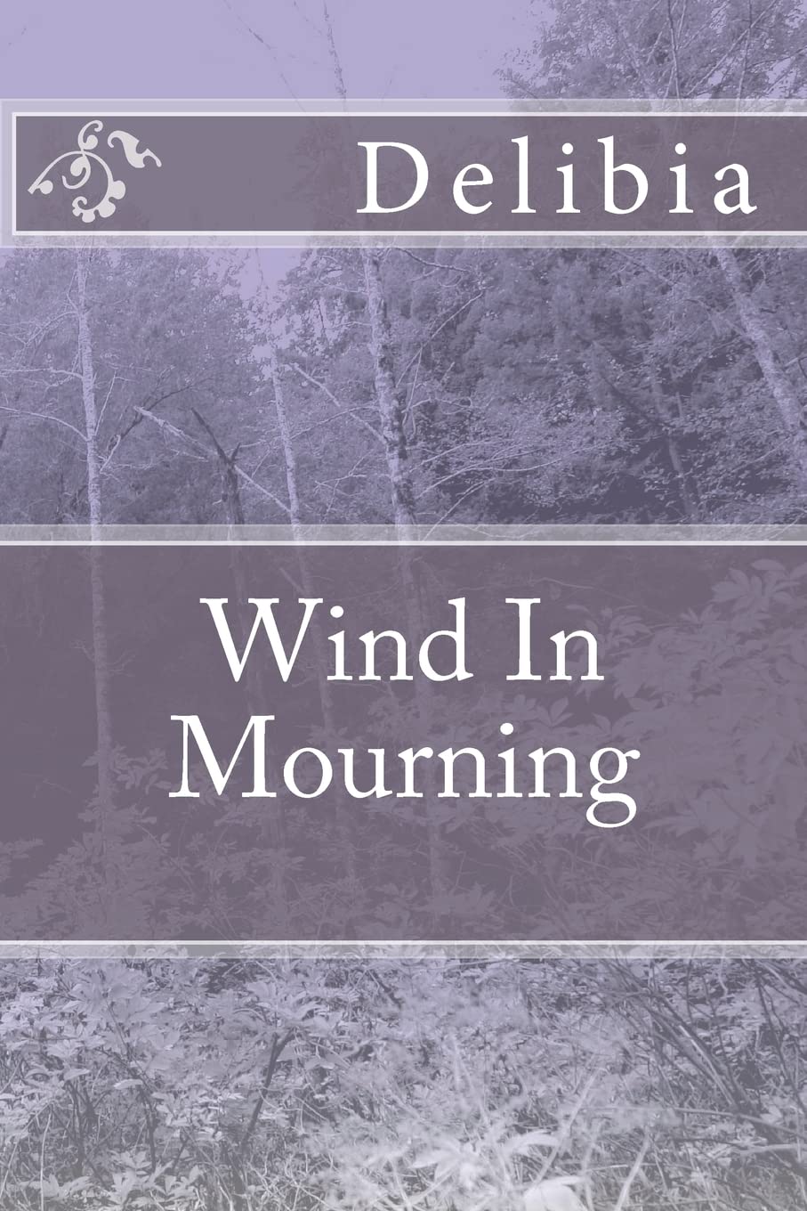 Wind In Mourning,Used