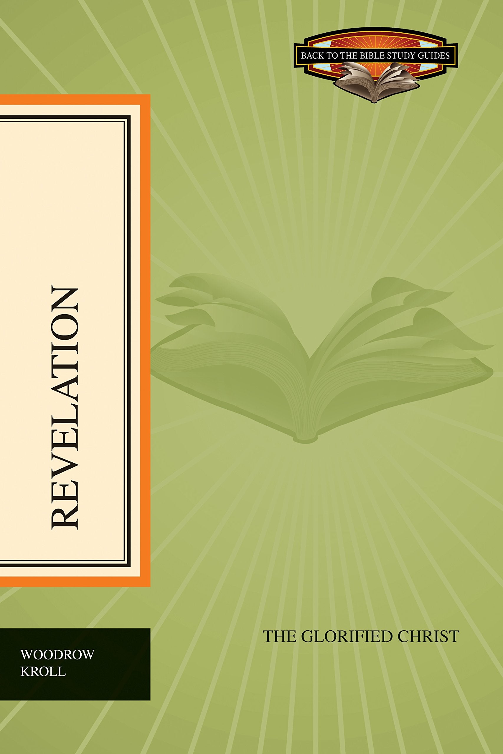 Revelation: The Glorified Christ (Back to the Bible Study Guides),Used