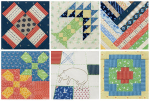 The Splendid Sampler 2: Another 100 Blocks from a Community of Quilters,Used