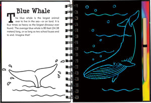 Scratch & Sketch Under the Sea (Trace Along),Used