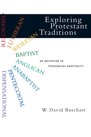 Exploring Protestant Traditions: An Invitation to Theological Hospitality,Used