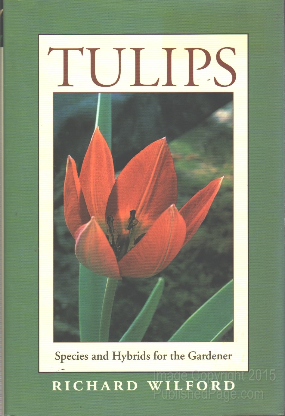 Tulips: Species and Hybrids for the Gardener,Used