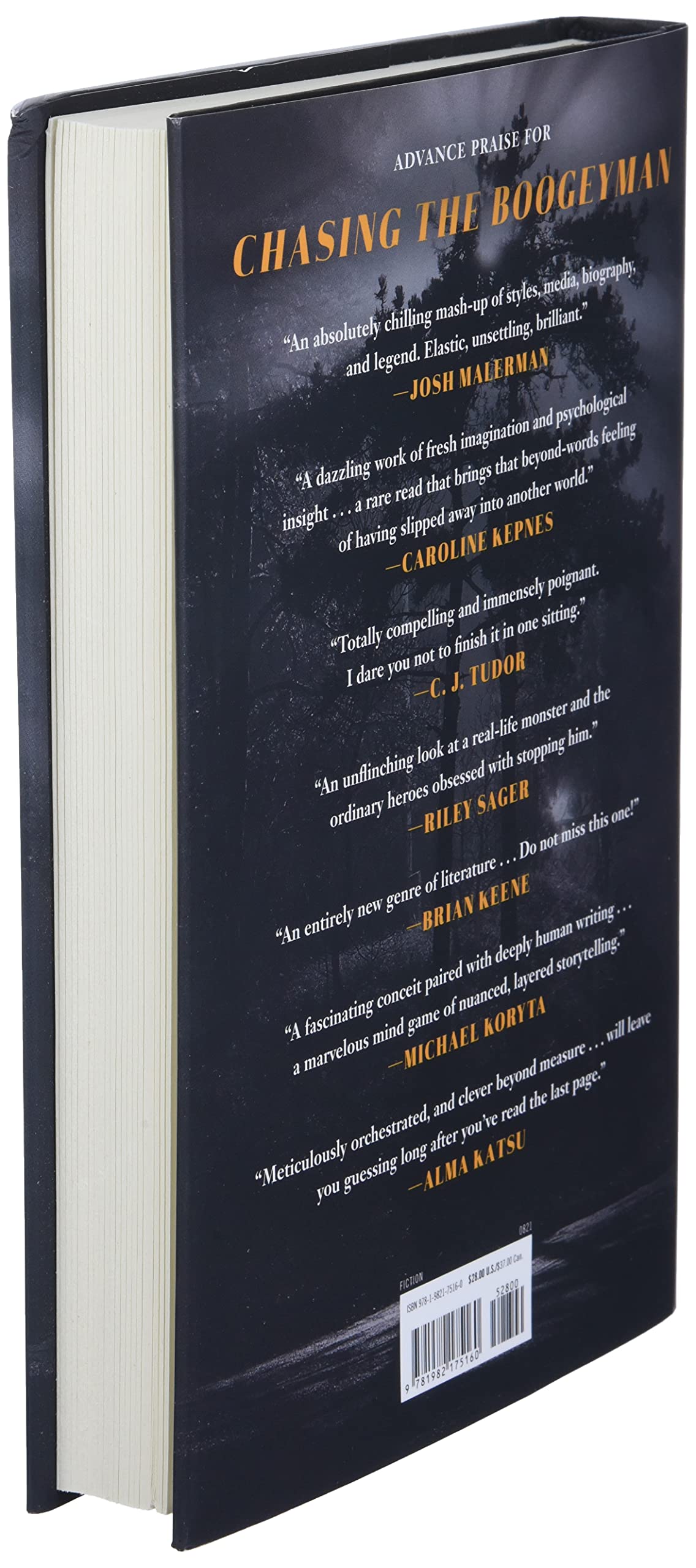 Chasing The Boogeyman: A Novel