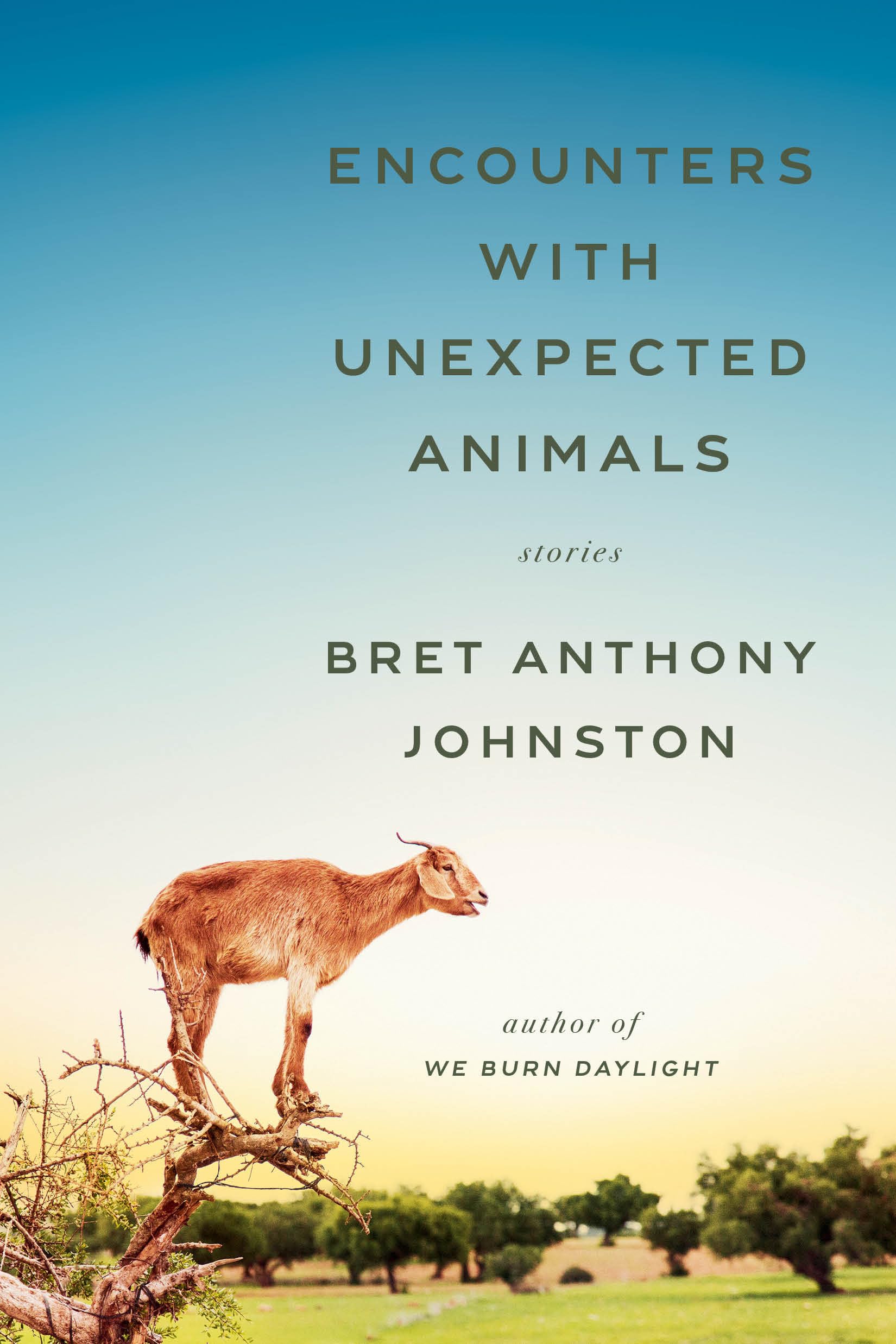 Encounters With Unexpected Animals: Stories