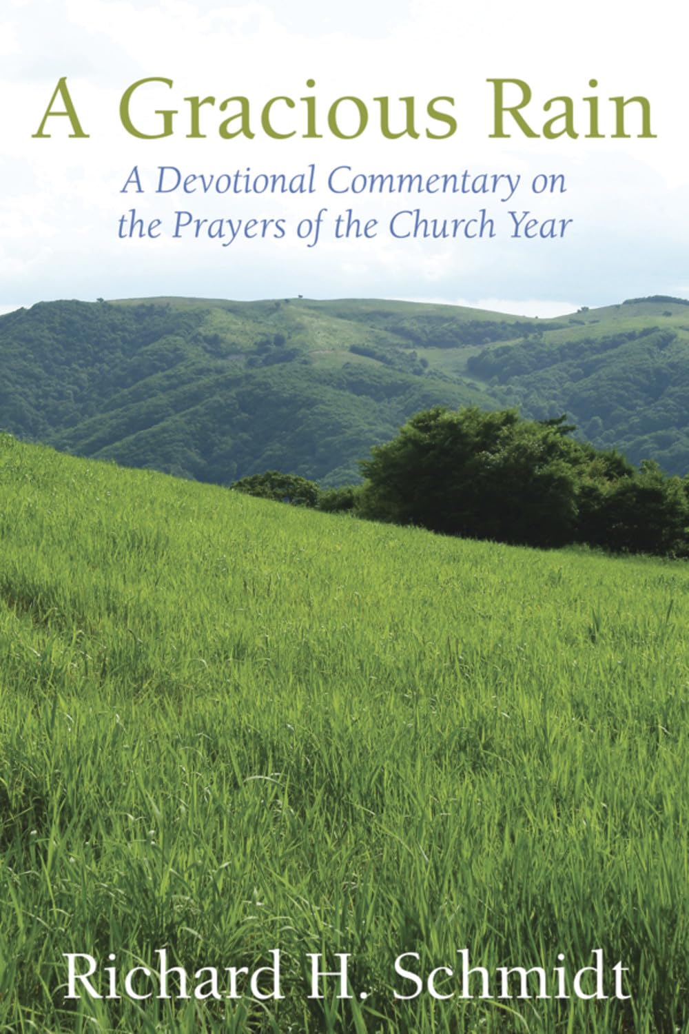 A Gracious Rain: A Devotional Comentary On The Prayers Of The Church Year,Used