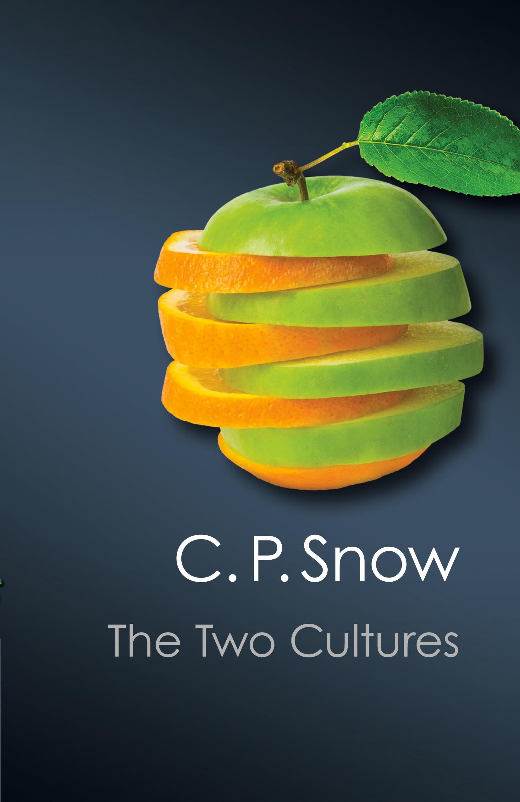 The Two Cultures (Canto Classics),Used