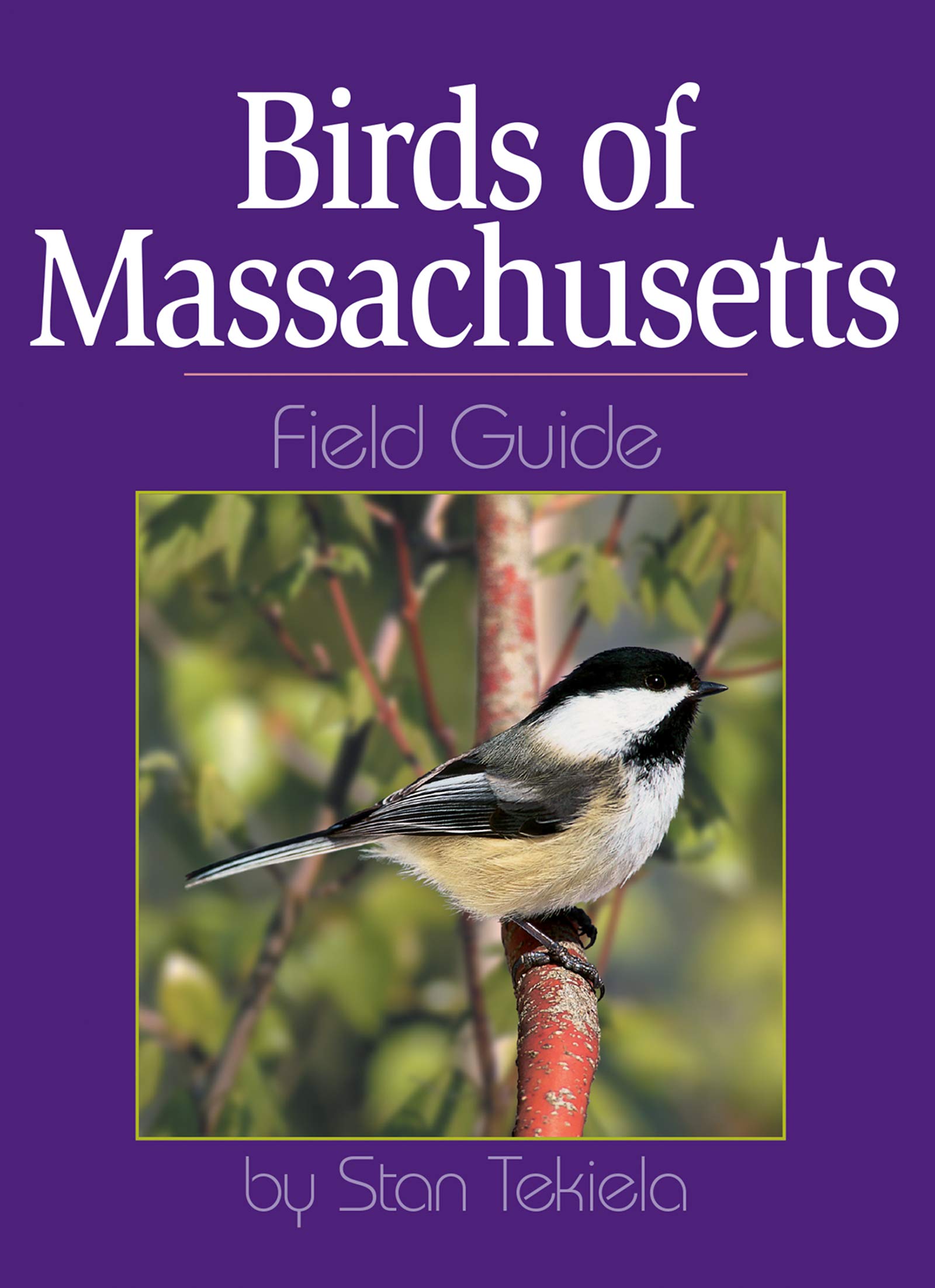 Birds of Massachusetts Field Guide,Used