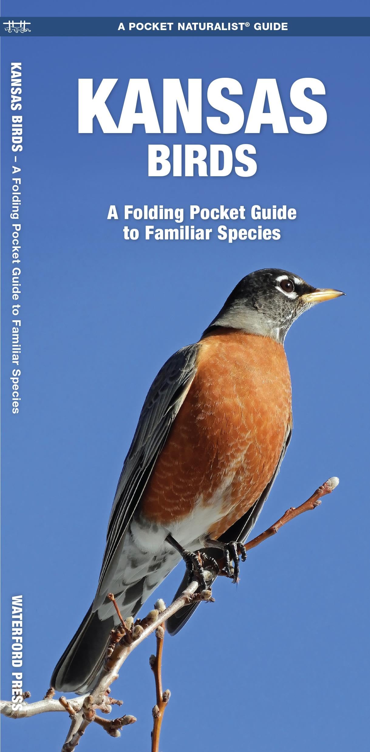Kansas Birds: A Folding Pocket Guide to Familiar Species (Wildlife and Nature Identification),Used