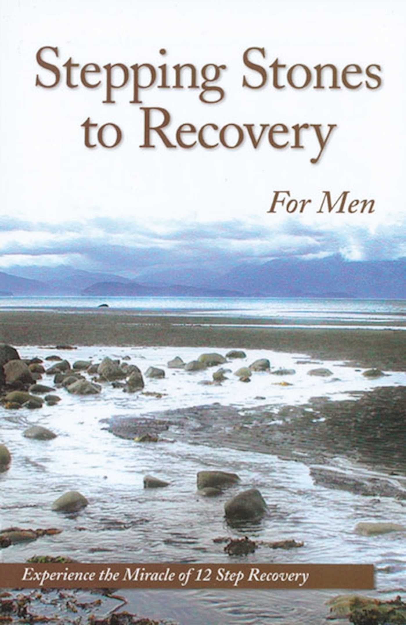 Stepping Stones To Recovery For Men: Experience The Miracle Of 12 Step Recovery,Used