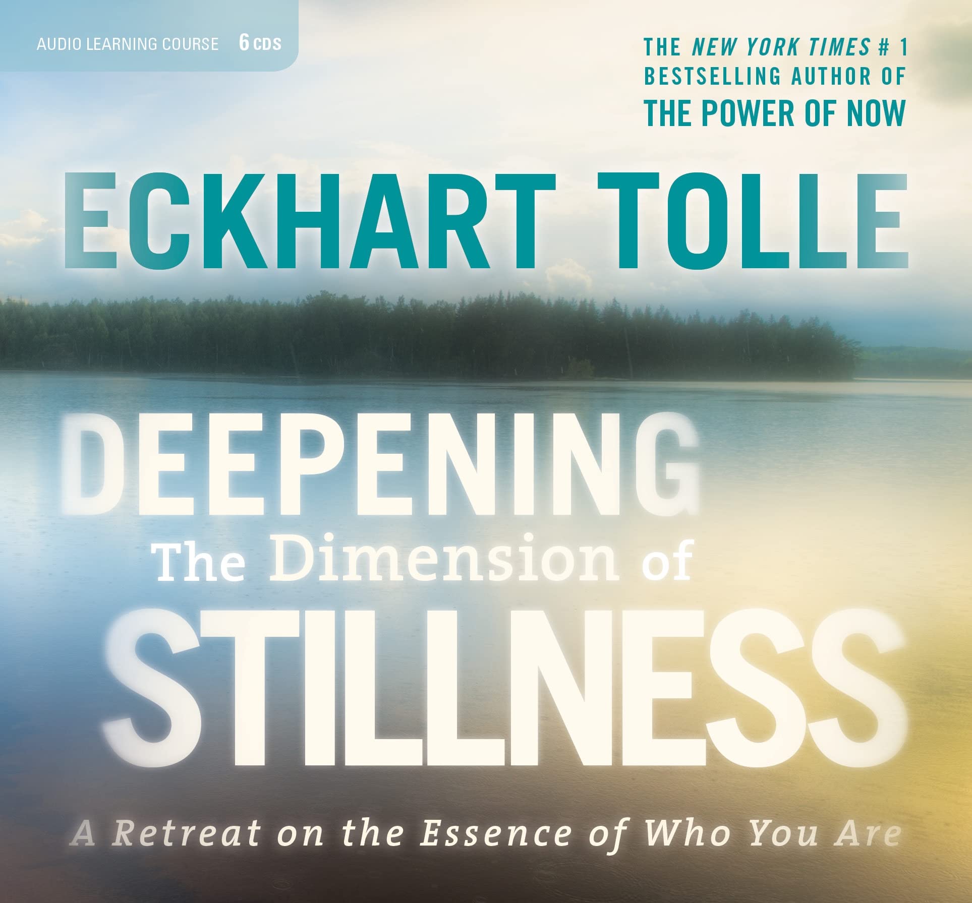 Deepening the Dimension of Stillness: A Retreat on the Essence of Who You Are,Used